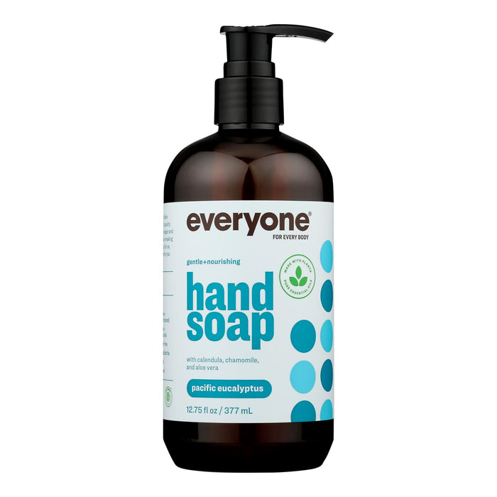 Everyone  Hand Soap Pac Eucalyptus  1 Each  12.75 Oz