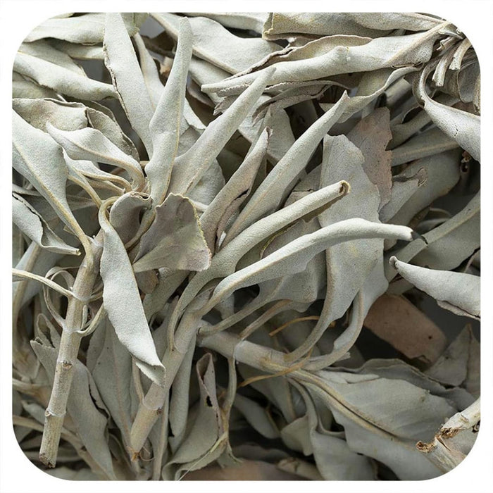 Incense White Sage Whole