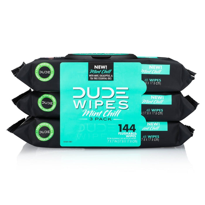 Dude Products  Dude Wipes Flushable Mint Chill 3Pk  144 Ct