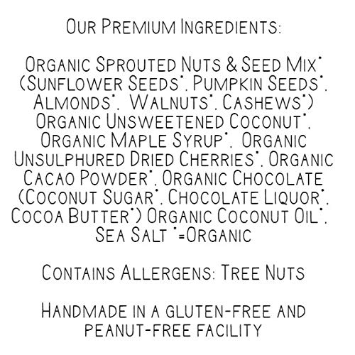 Lark Ellen Farm Organic Grain Free Granola Bites Cacao Cherry 8 oz