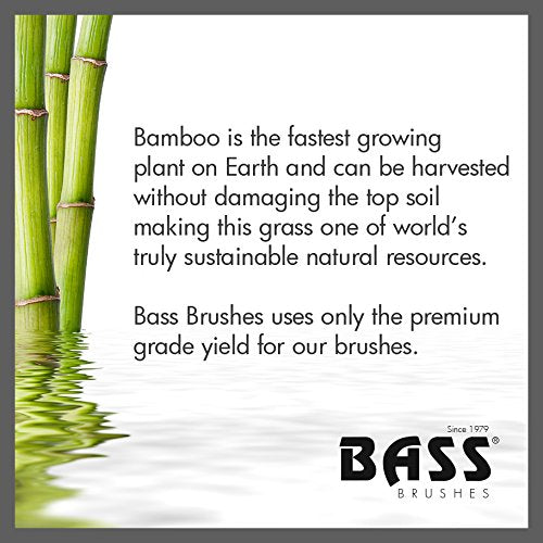 Bass Brushes  Wet And Dry Comb 100% Bamboo Wood  1 Each  1 Ct