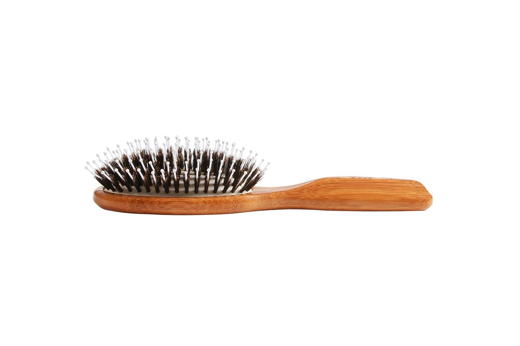 Bass Brushes  Wild Boar Nylonpurse Hair Brush  1 Each  1 Ct