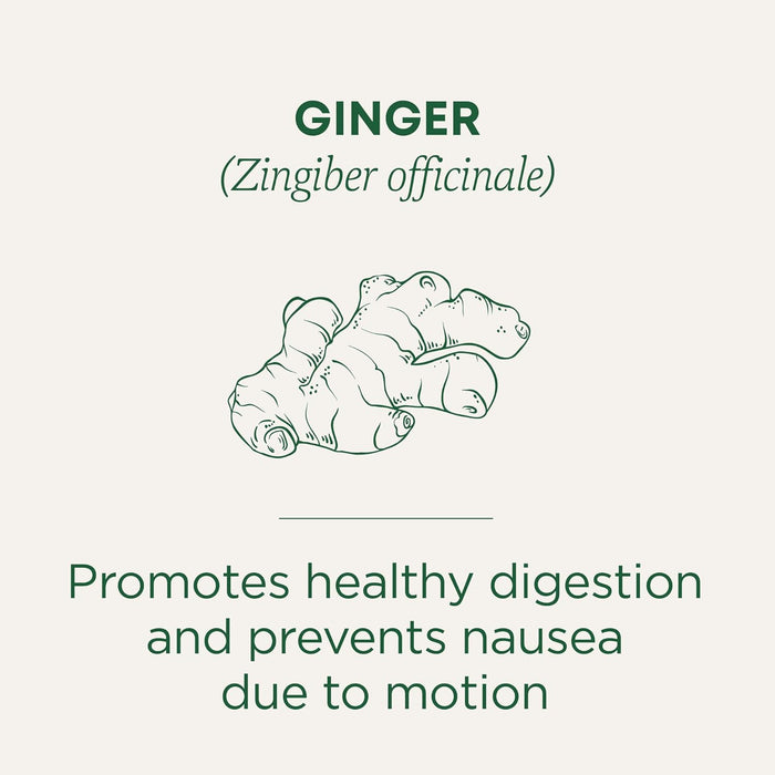 Traditional Medicinals  Organic Ginger Herbal Tea  Tea Bags  16 Bag