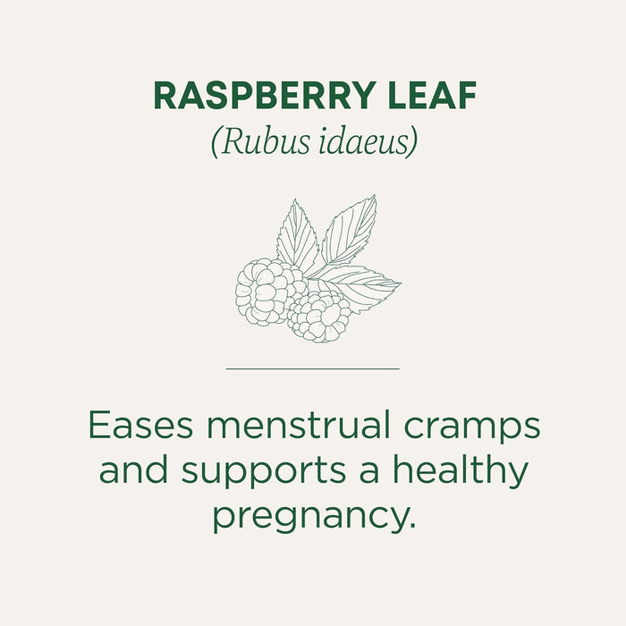 Traditional Medicinals  Organic Raspberry Leaf Herbal Tea 1 Tea Bags  16 Bag