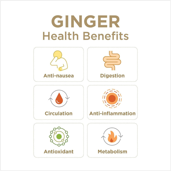 The Ginger People Gin Gins Double Strength Hard Ginger Candy 3 oz