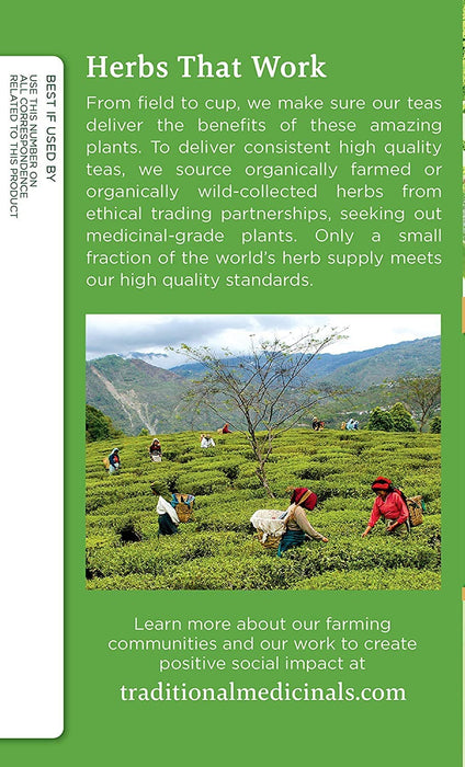 Traditional Medicinals  Green Tea Matcha W Toasted Rice  16 Bag