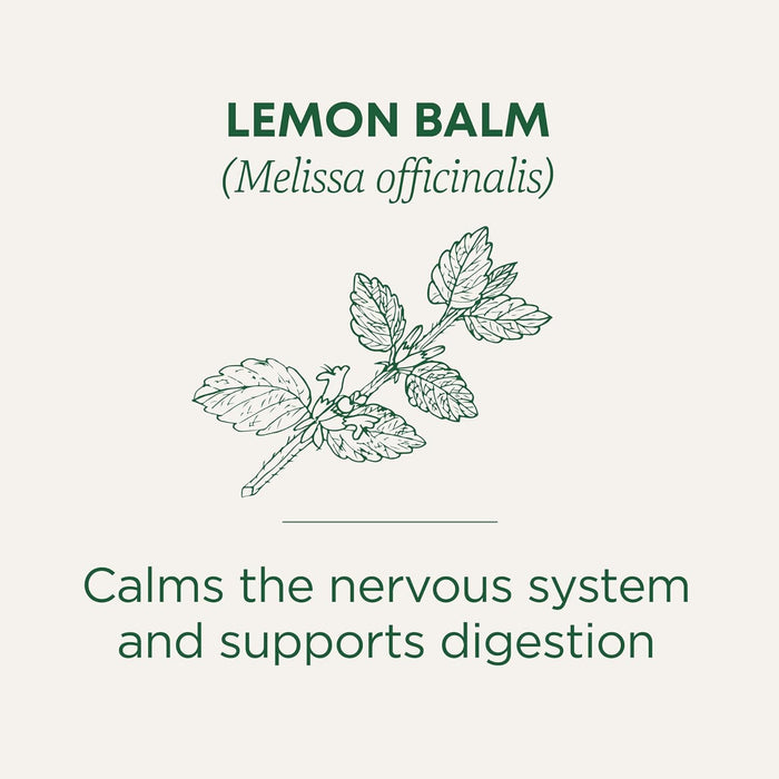 Traditional Medicinals  Organic Herbal Tea Lemon Balm Lemon Bal Og2  16 Bag