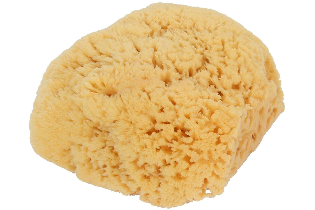 Bass Brushes  Body Care Natural Sea Sponge  1 Each  1 Ct