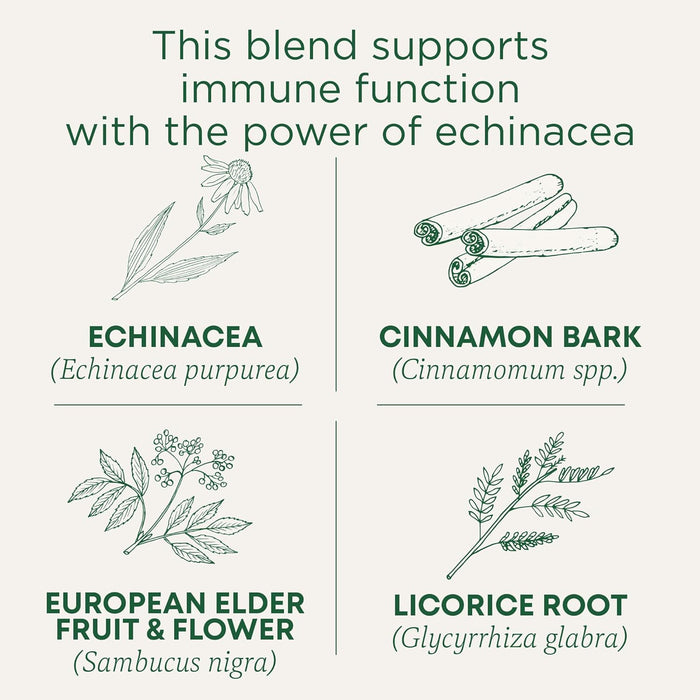 Traditional Medicinals  Tea Immune Elderberry Echinacea  16 Bag