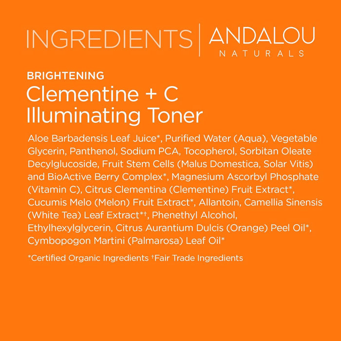 Andalou Naturals Brightening Clementine Plus C Illuminating Toner 1 Each 6 Oz