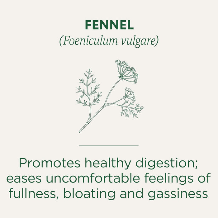 Traditional Medicinals  Organic Herbal Tea Fennel  16 Bag