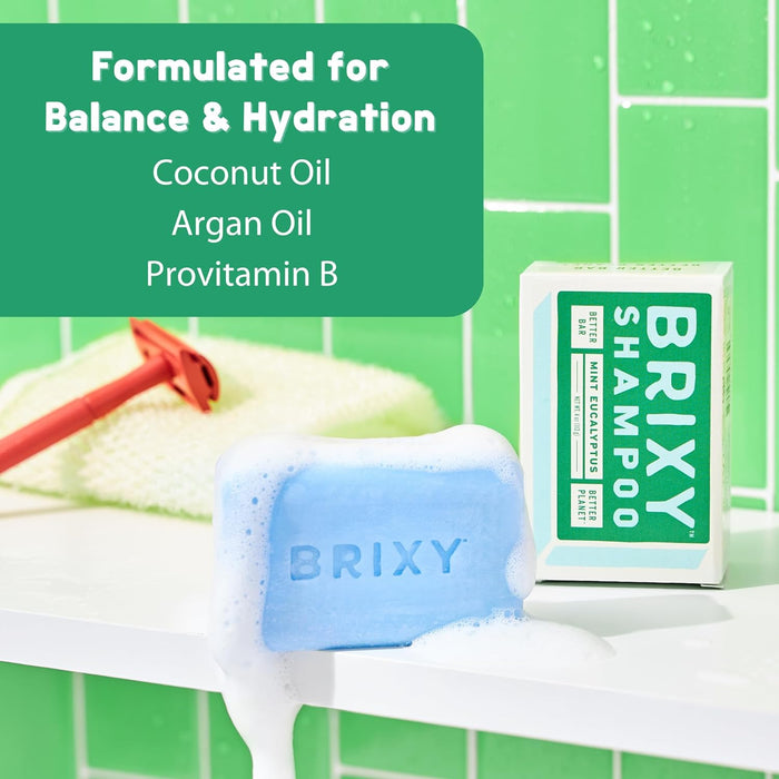 Brixy  Shampoo Bar Mint Euclyptus  1 Each  4 Oz