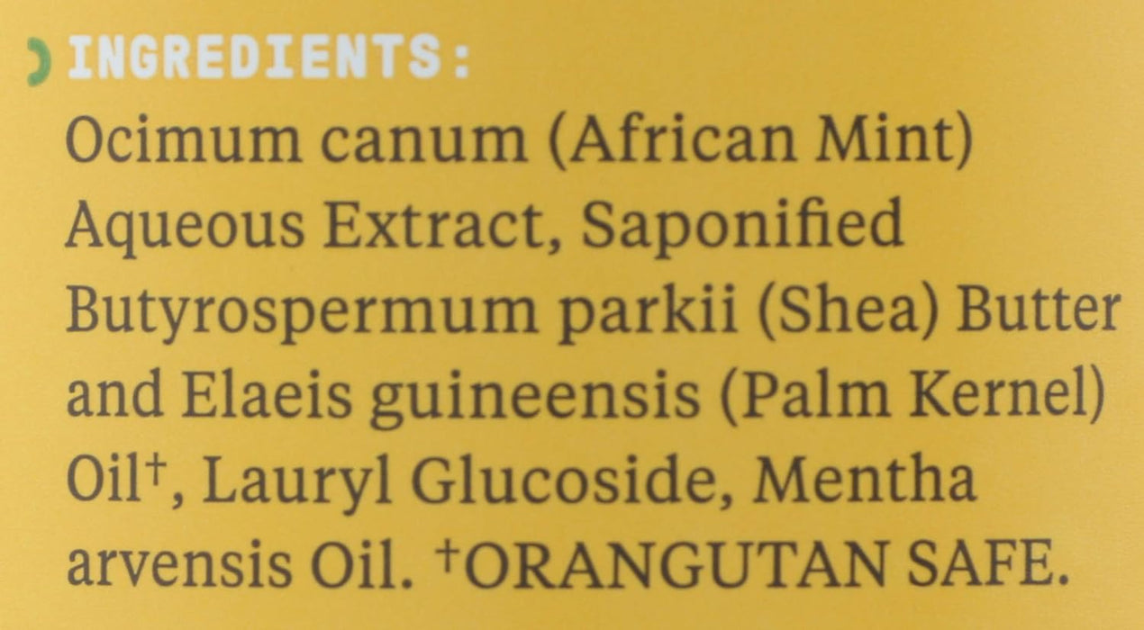 Alaffia  Authentic African Black Soap All In One Peppermint 16 Oz