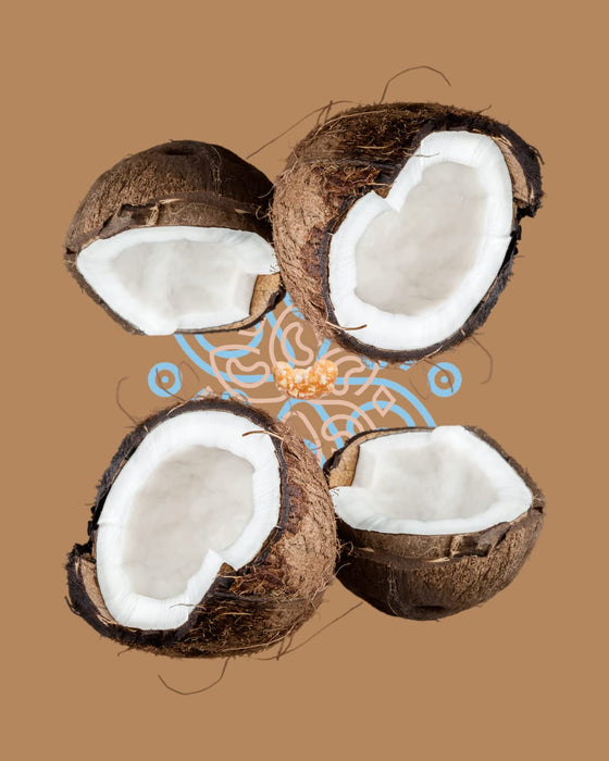 Karma Nuts Toasted Coconut Roasted Cashew 7 oz