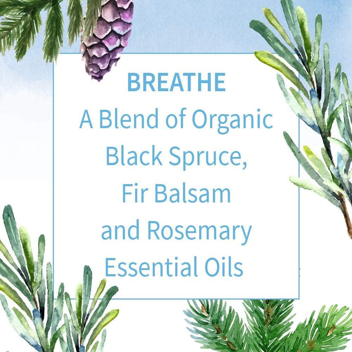 Garden Of Life  Ess Oil Organic Breathe Blend  1 Each  0.5 Oz