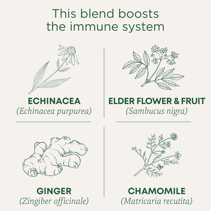 Traditional Medicinals  Organic Echinacea Elder Tea  Caffeine Free  16 Bag