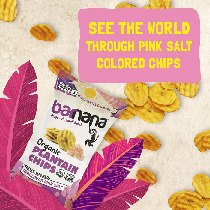 Barnana  Organic Plantain Chips Himalayan Pink Salt  2 Oz