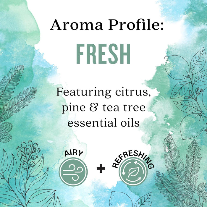 Aura Cacia  Fresh Renewing Essential Oil   0.25 Oz