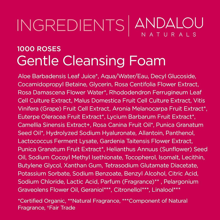 Andalou Naturals Sensitive 1000 Roses Gentle Cleansing Foam 1 Each 5.5 Fl