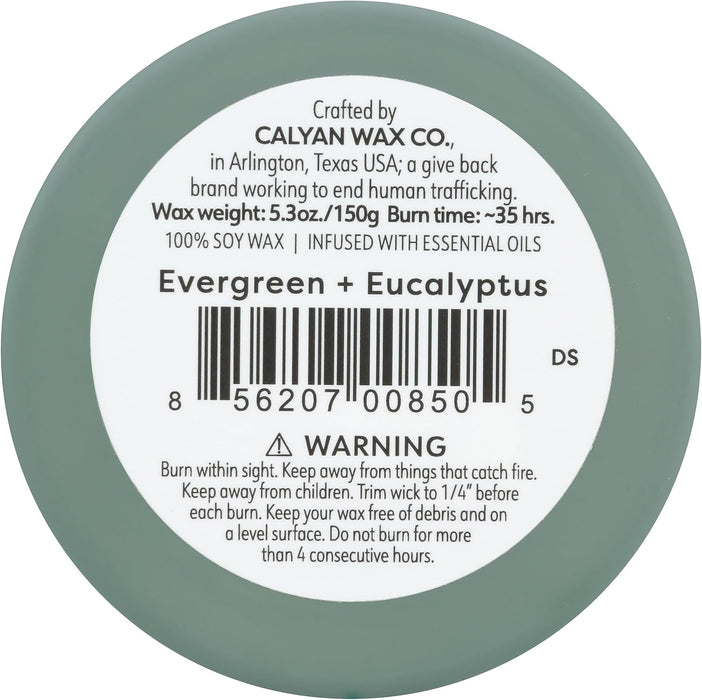 Calyan Wax Co  Evergreen + Eucalyptus Soy Candle    5.3 Oz