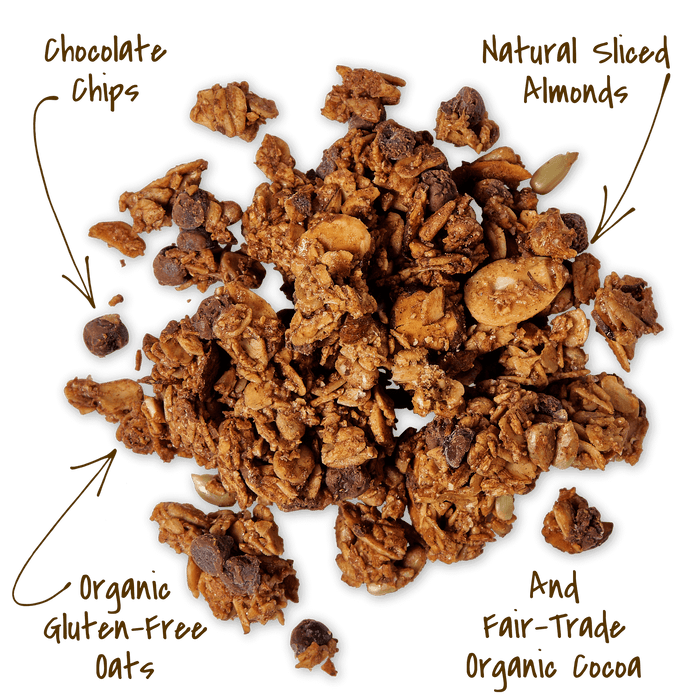 Micheles Granola Granola CocoaChocolate Chip 12 OZ