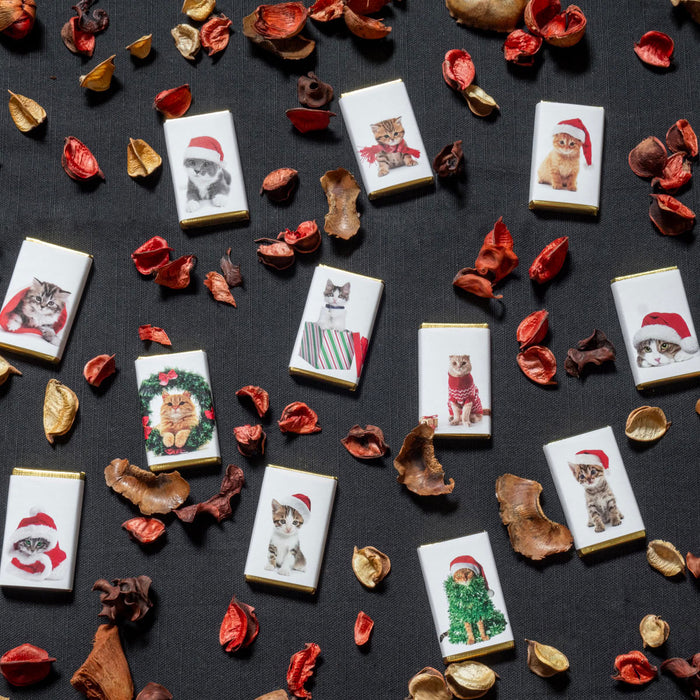 Chocolate Cute Christmas Cats